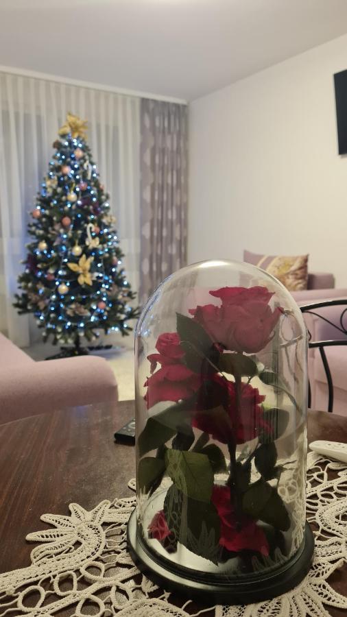 Apartament Violeta Гура Хуморулуй Екстериор снимка