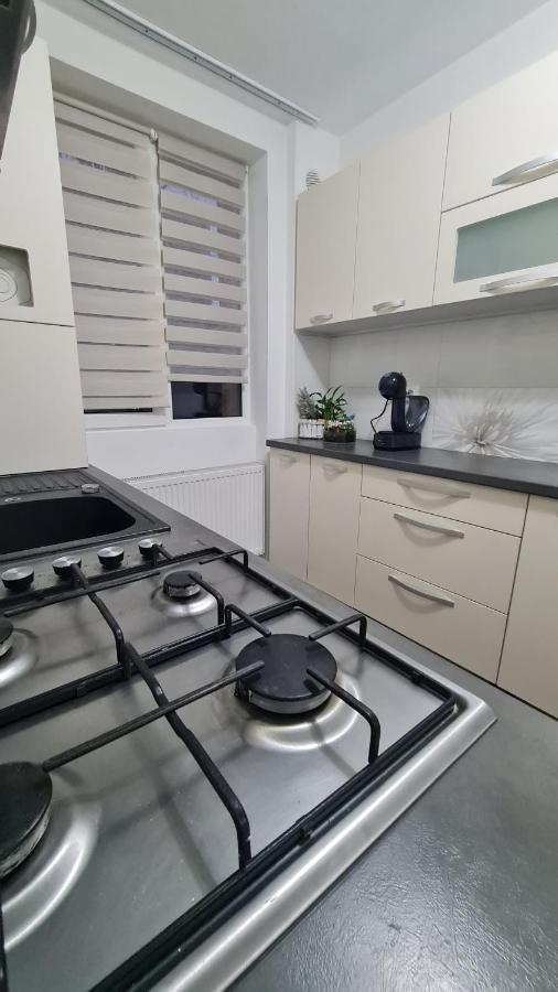 Apartament Violeta Гура Хуморулуй Екстериор снимка